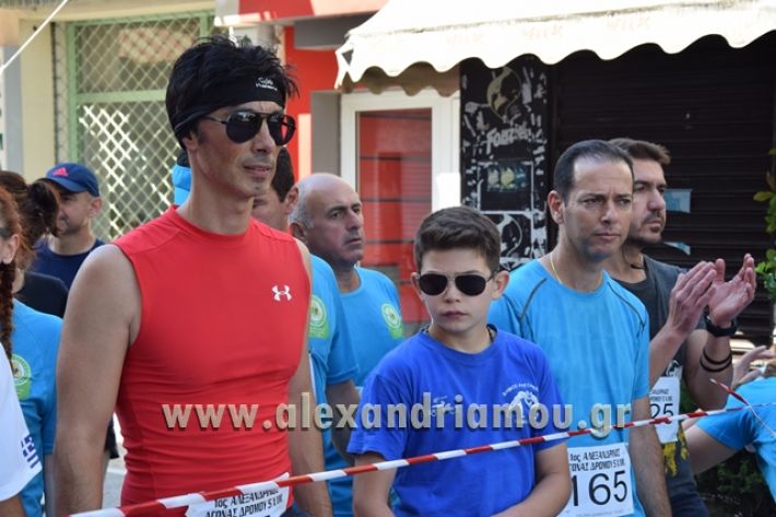 alexandriamou_1_alexandrinos_dromos073